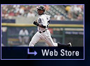 Web Store