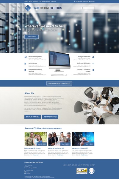 Technology Solutions & Professional Services Website Design