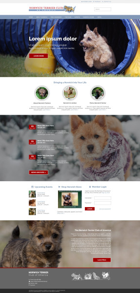 dogclubwebsite